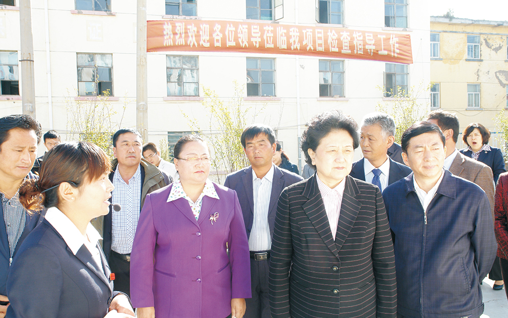 时任中央政治局委员，，，，，，，，国务院副总理、党组成员刘延东视察湖北不朽情缘集团青海项目部