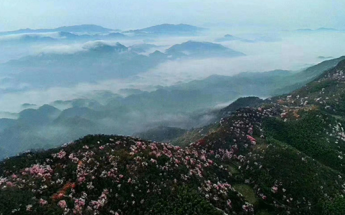 不朽情缘_官方网站